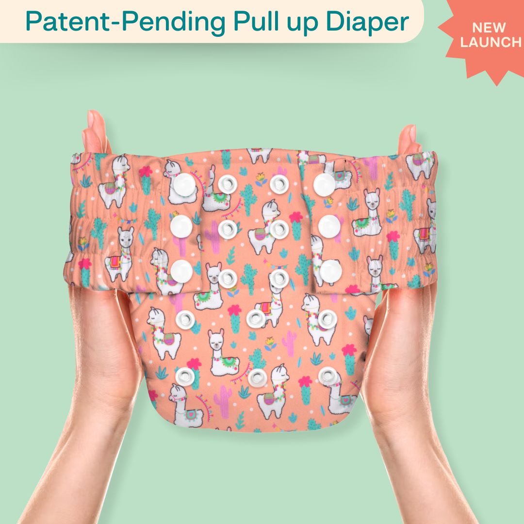 Ice Candy Newborn Cloth Diaper 2.0 with 1 cotton Insert (2 kg - 5 kg)