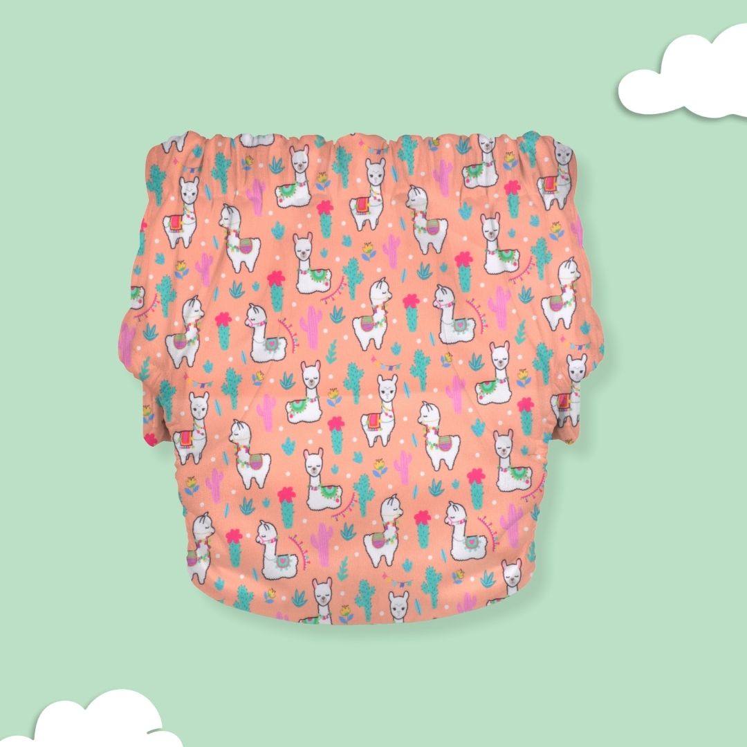 Indigo - Newborn Cloth Diaper 2.0 with 1 cotton Insert (2 kg - 5 kg)