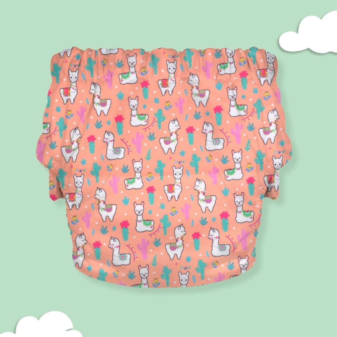 Floral Paisley - Ultra Diaper 2.0