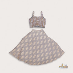 Grand Lehenga For Girls