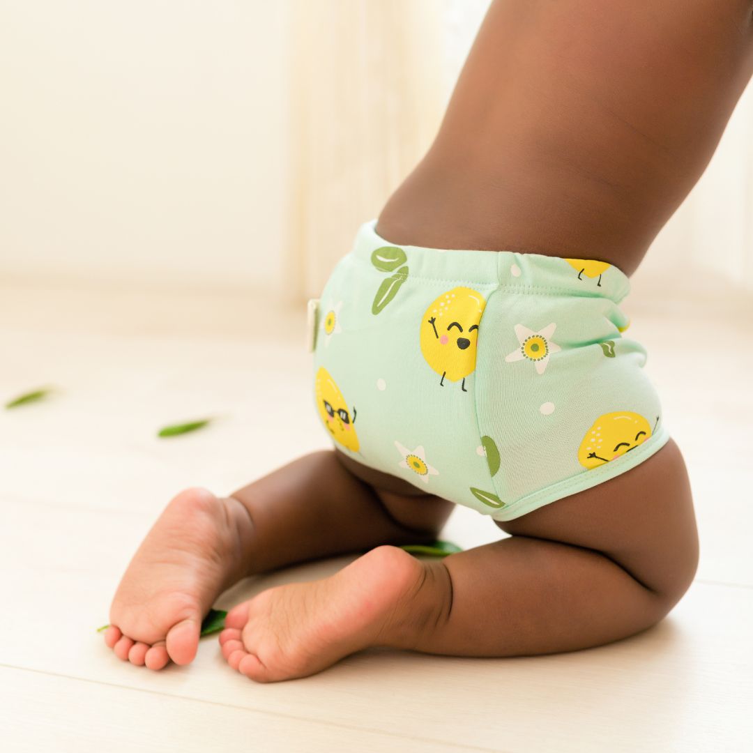 6-12 Months (Pack of 2)  - Ultra Undies - Baby Padded Underwear