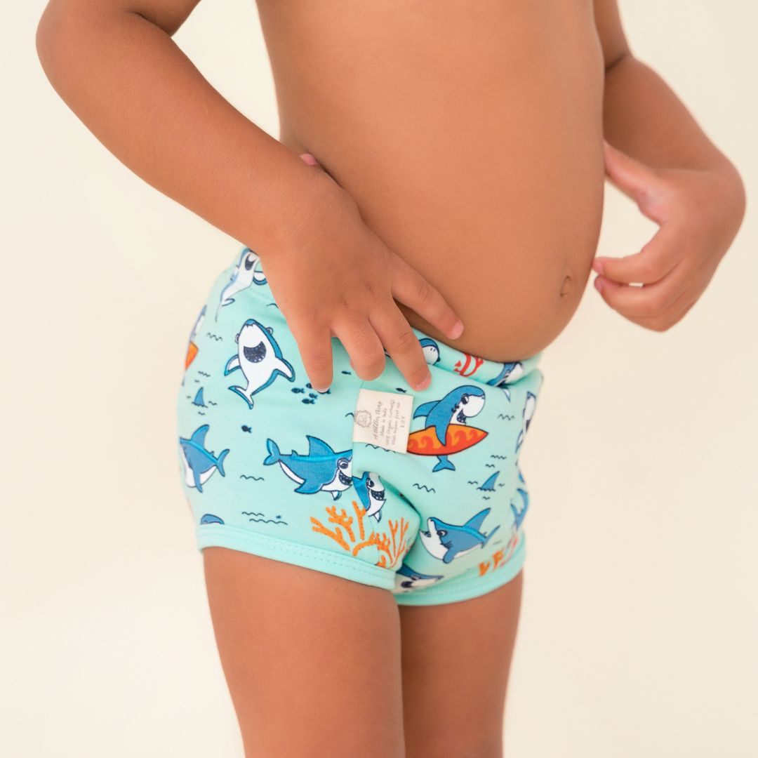 6-12 Months (Pack of 5)  - Ultra Undies - Baby Padded Underwear