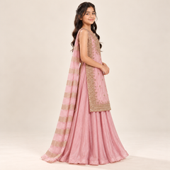 Alesha Gold Zari Panel Lehenga Set | 5-18Y