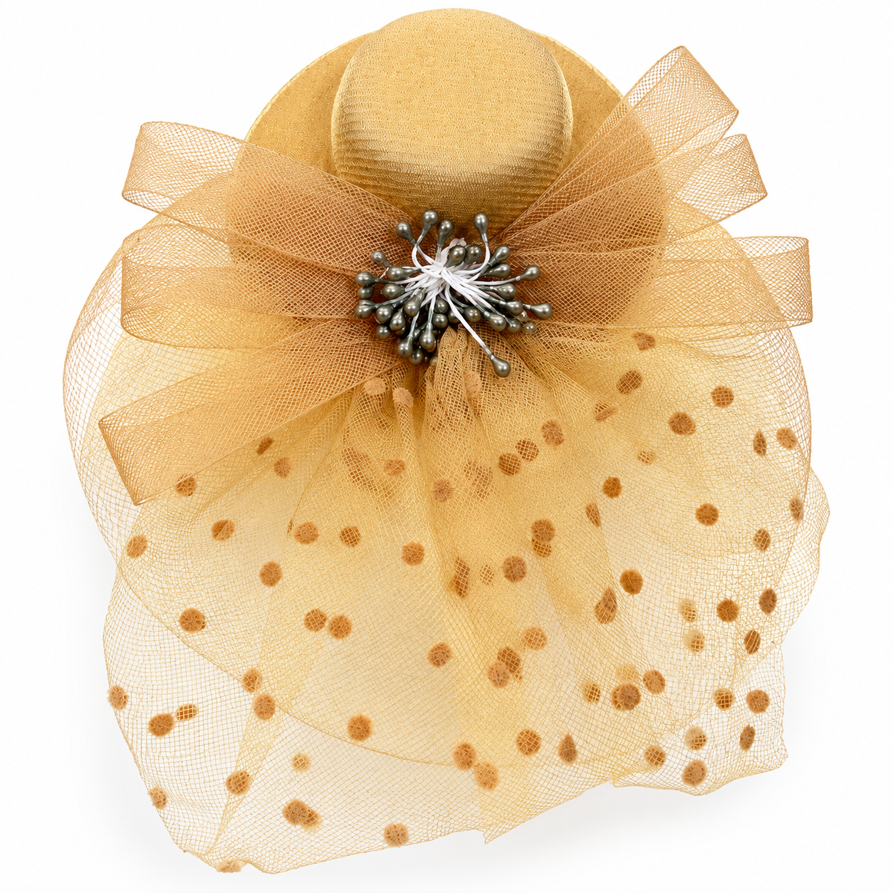 Elegant Fascinator with Veiled Lace Birthday Clips