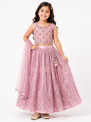 Rosavelle Net Lehenga Set for Girls | 1Y to 6Y