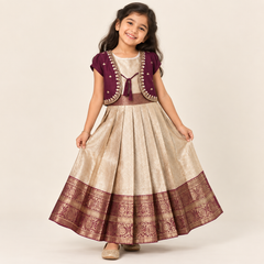 Zari Border Panel Silk Gown